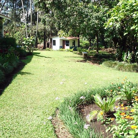 Hotel Aeropuerto Alajuela Exterior photo