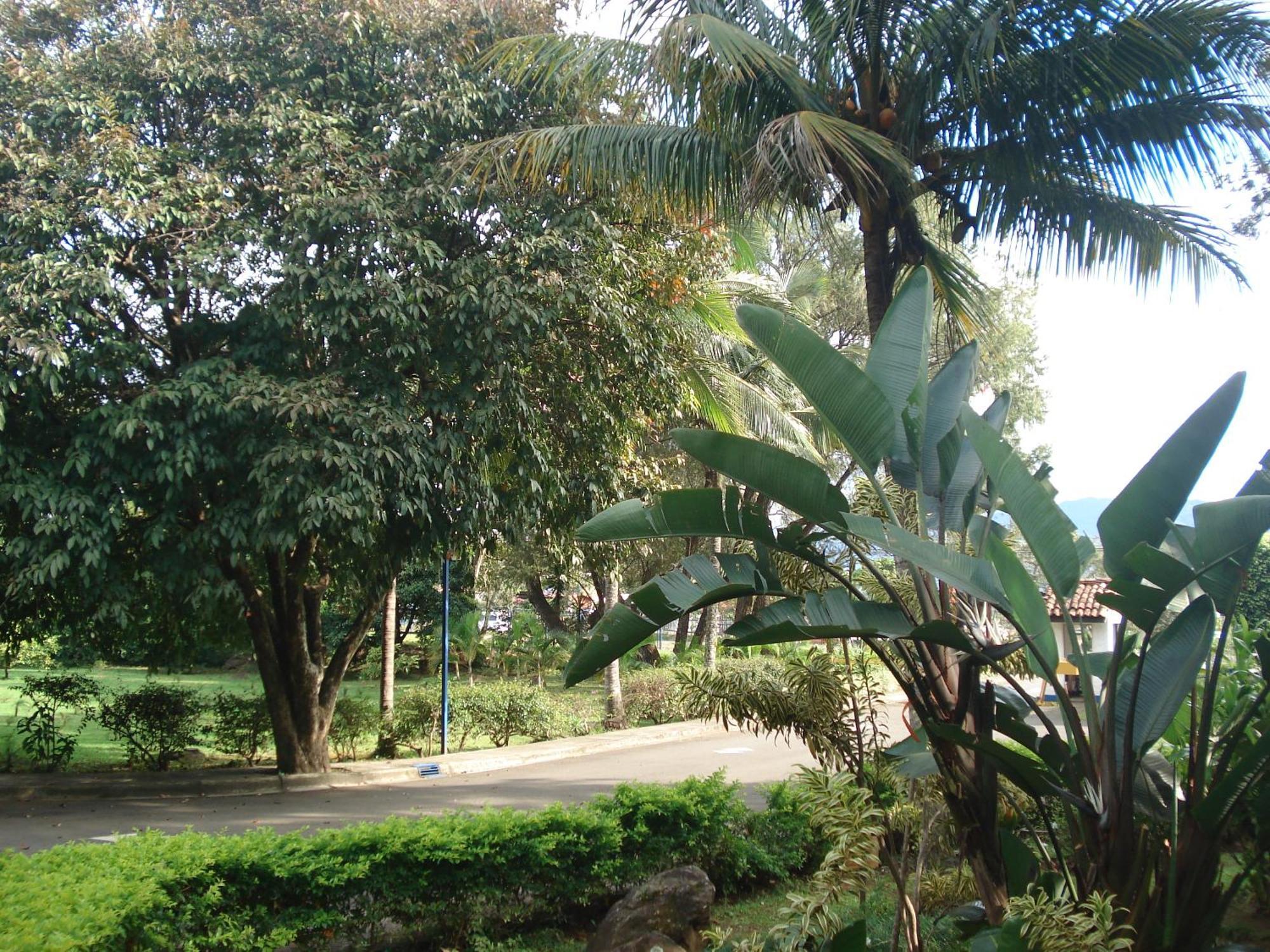 Hotel Aeropuerto Alajuela Exterior photo